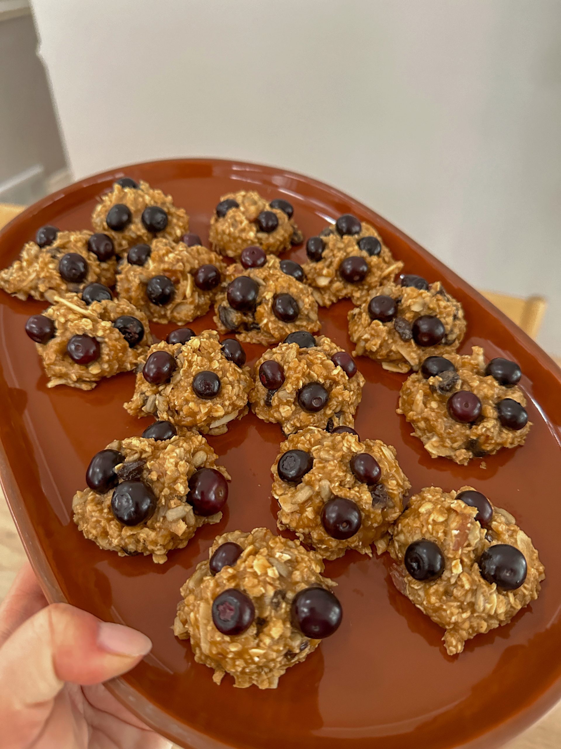 Healthy Breakfast Cookies