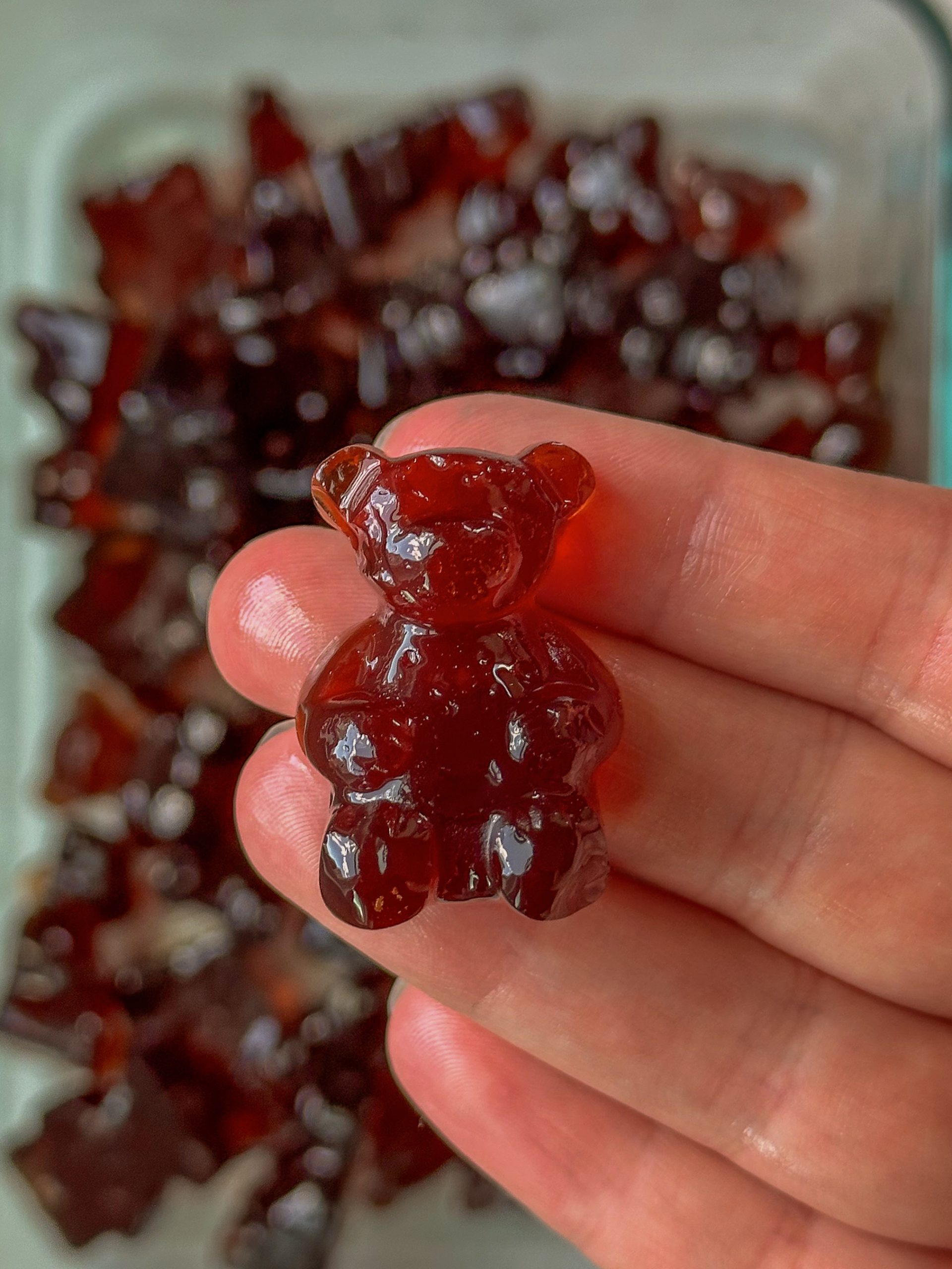 Elderberry Gummies