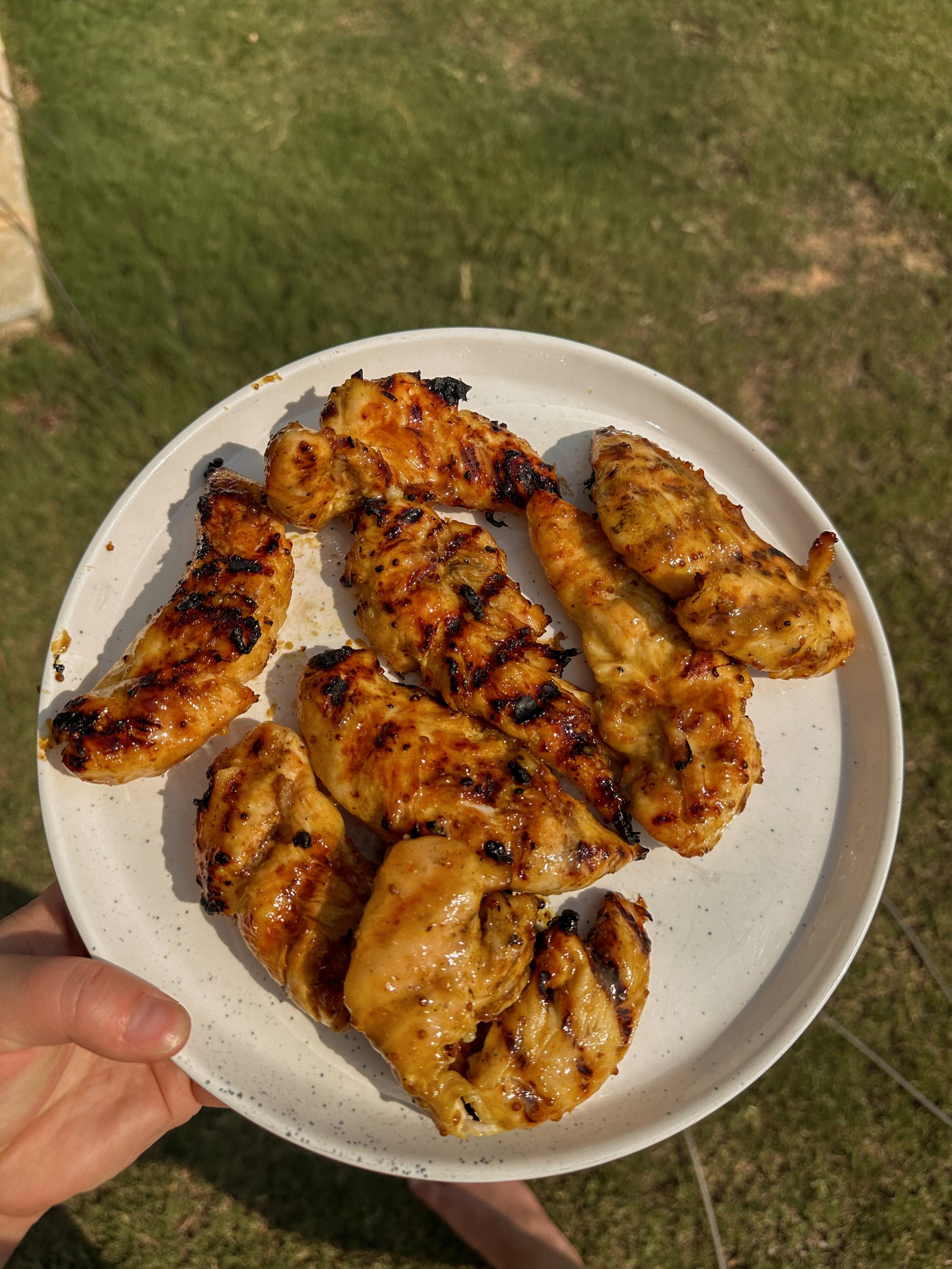 The BEST Honey Mustard Marinade